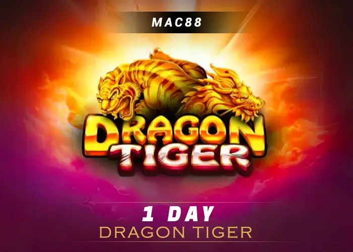 Dragon Tiger 1 Day